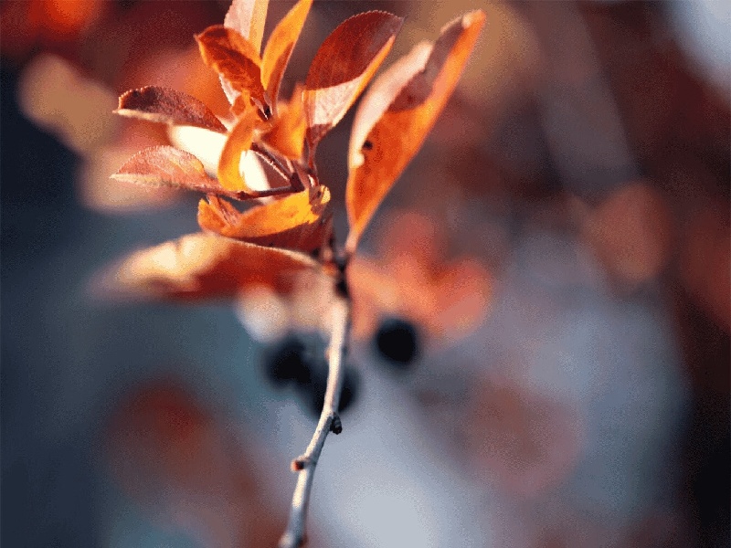 梅州哪里做试管试管抖音简介试管能报销嘛